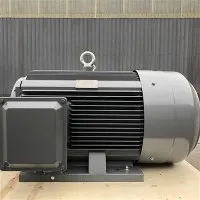 Høj-trefasede induktionsmotorer-