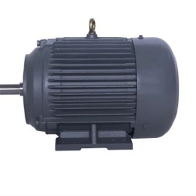 NEMA standard ultraeffektiv motor