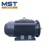 Squirrel Cage induktionsmotor